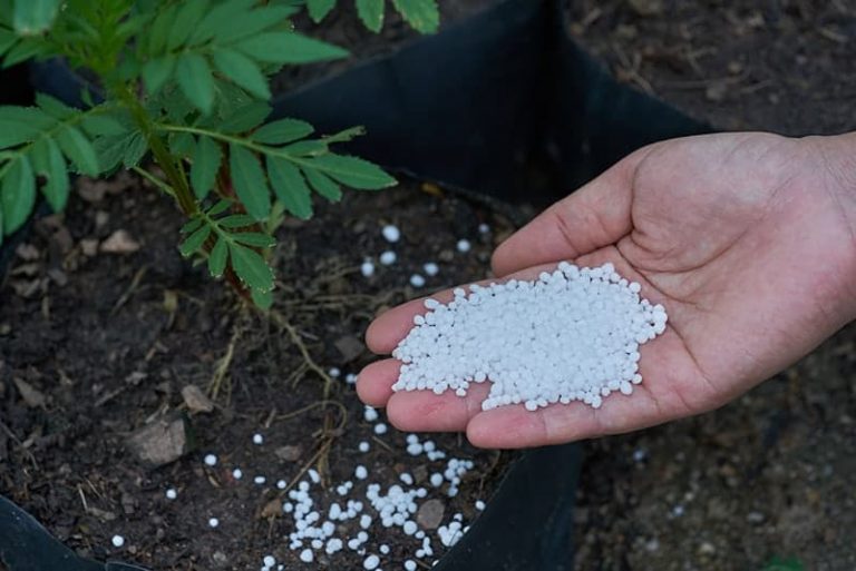 Innovative Uses Of Calcium Nitrite In Various Industries